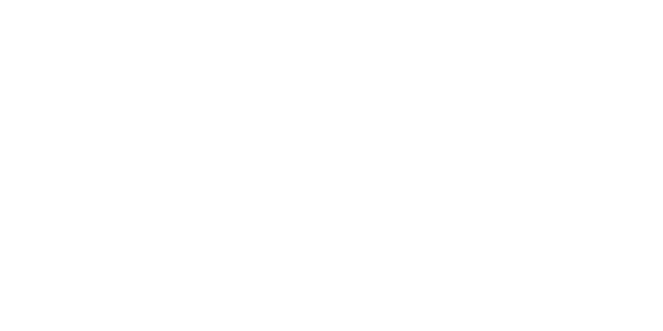 NE online casino game provider logo