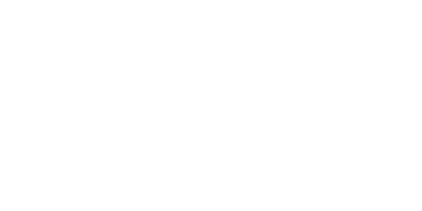 NG online casino game provider logo